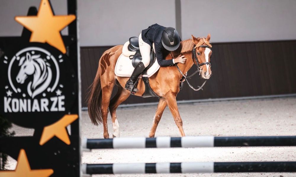 Sprzedam kucyka C grupy