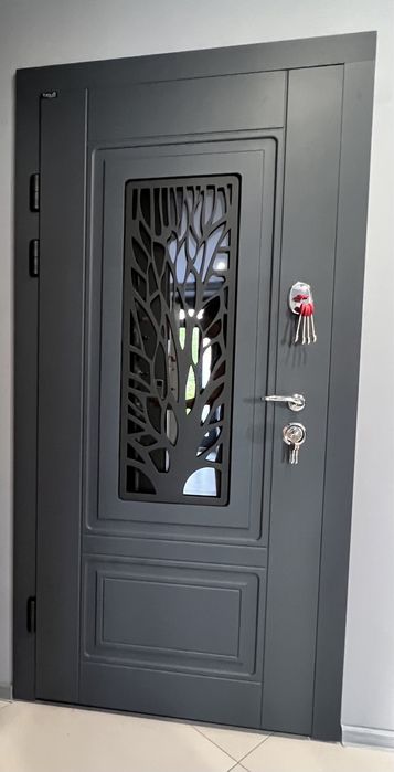 Двері вхідні на вулицю