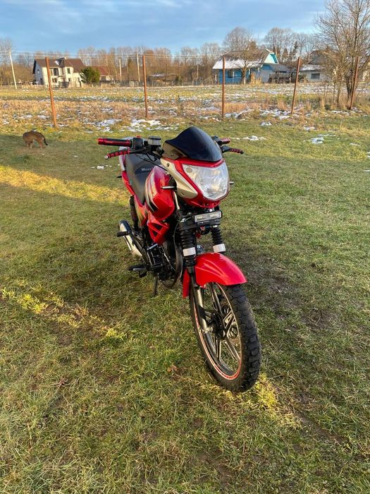 Продам мустанг регіон 150