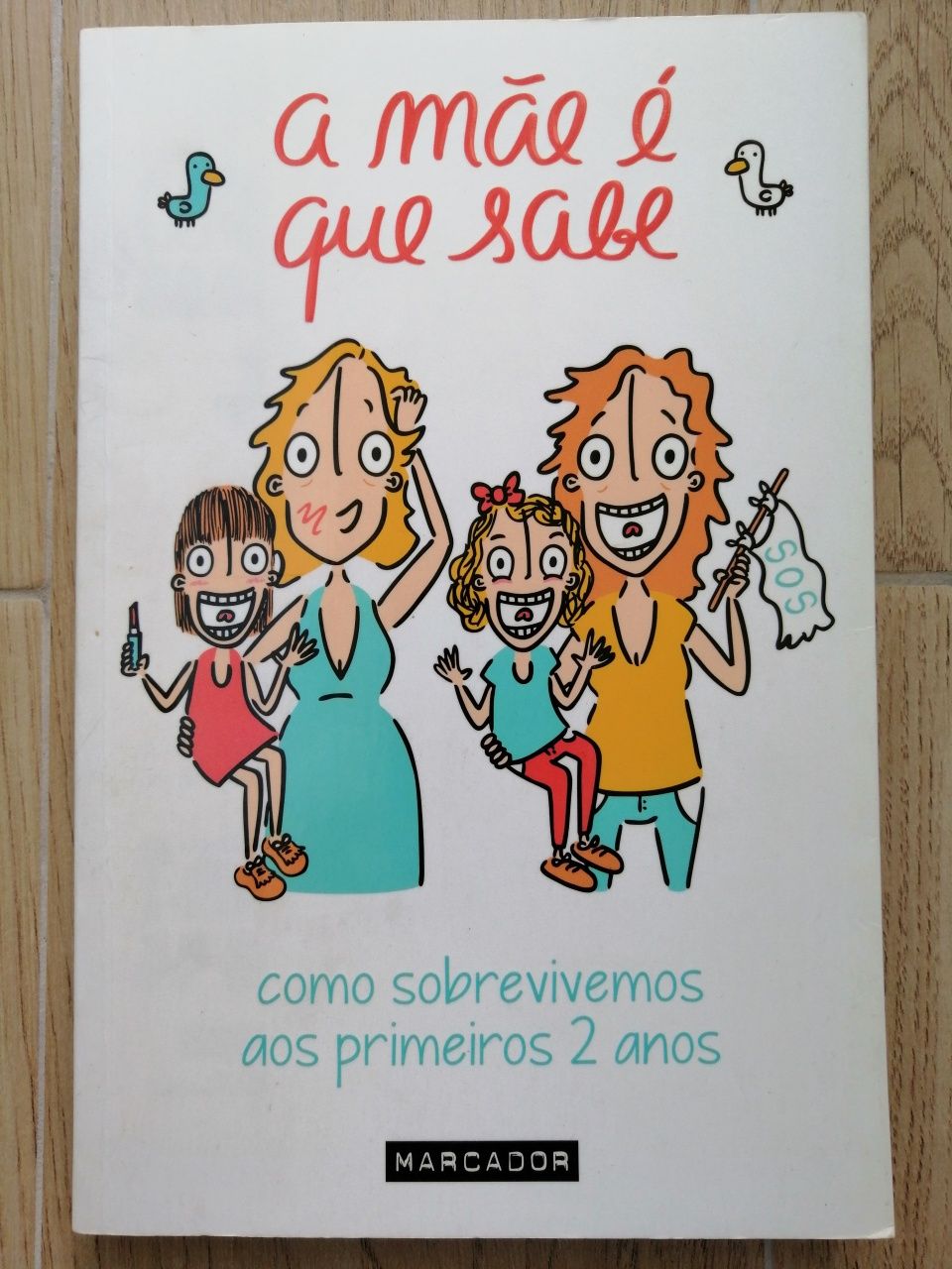 Livro "A mãe é que sabe"