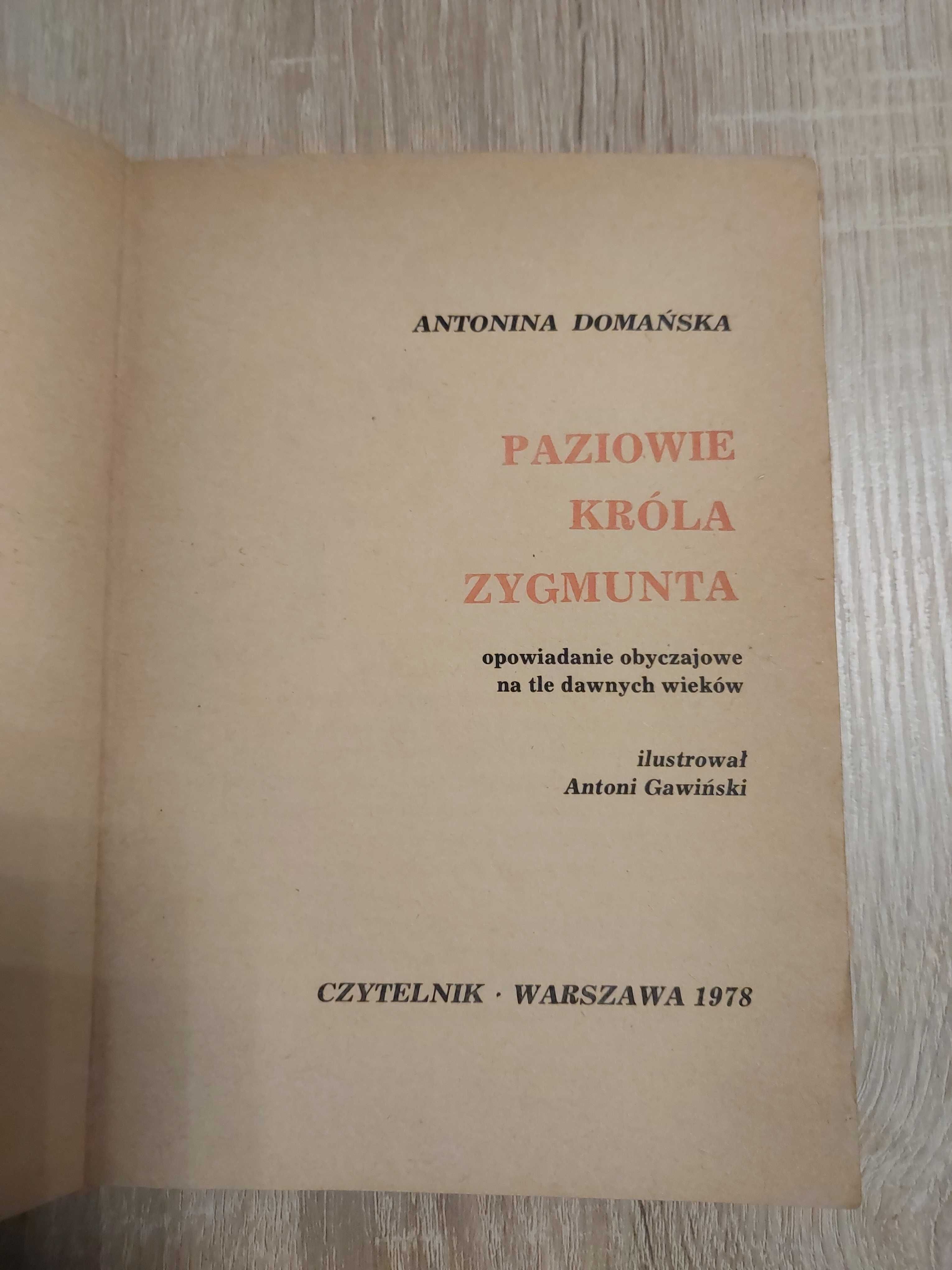 Historia żółtej ciżemki, Paziowie króla Zygmunta