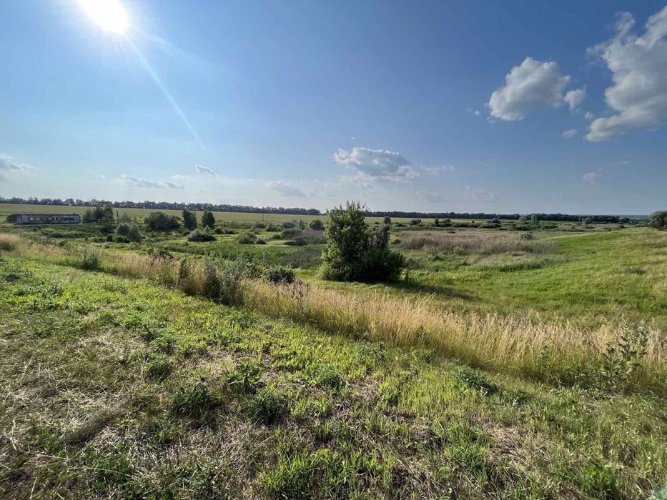 Продам землю 12 гектар 1000$ за га