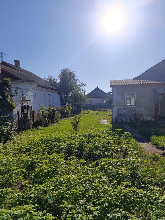 Продаж будинку в Гнівані