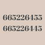 Złote numery telefonu PLUS na kartę – para bliźniaczych numerów!