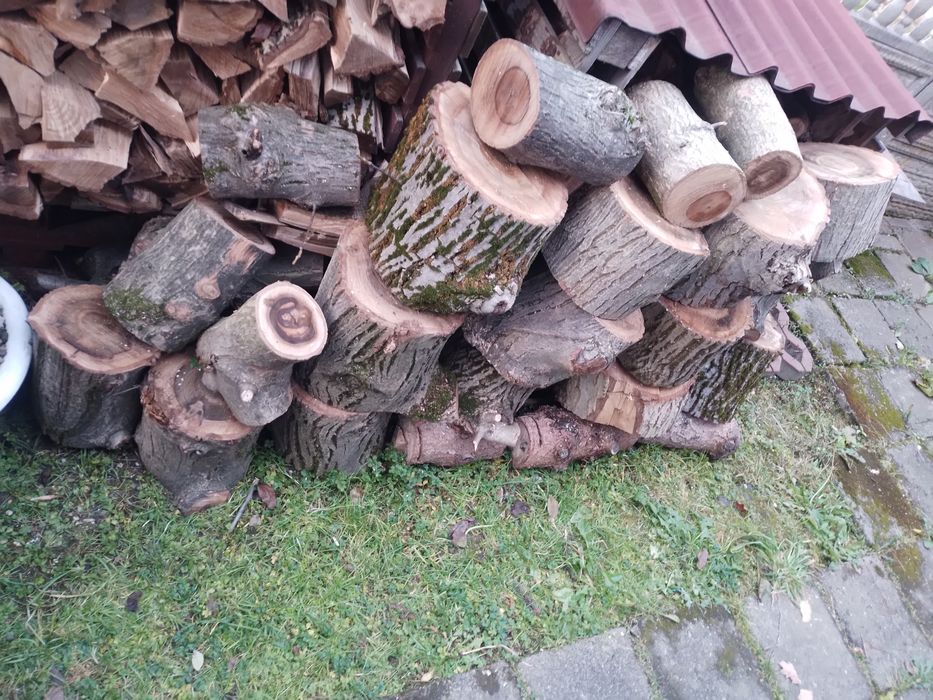 Drewno orzech    klocki i grube konary