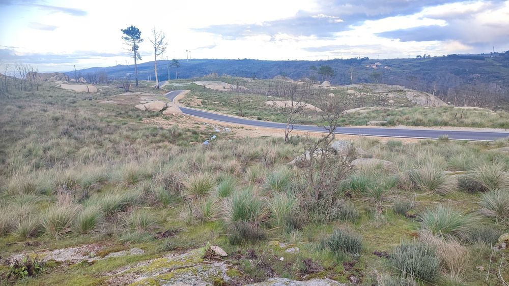 Terreno em Alvendre, Guarda