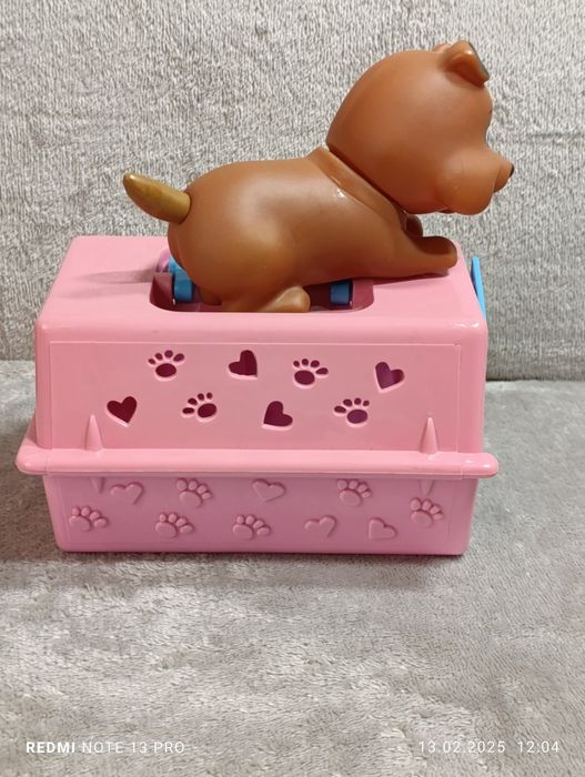 Piesek w klatce w nosidełku