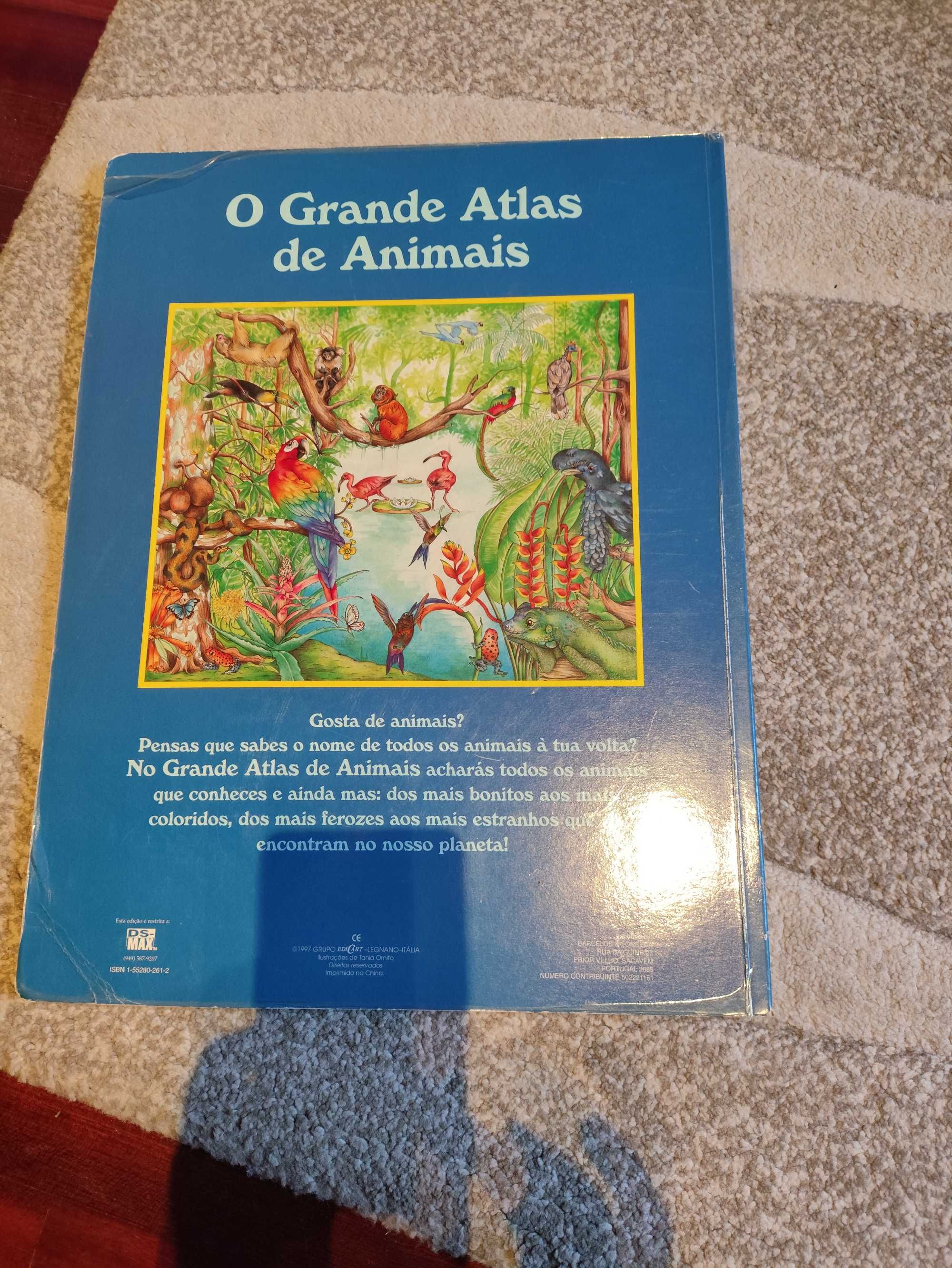 Livro infantil animais