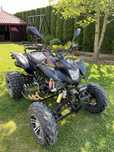 Bashan BS250S-11B z Homologajcą