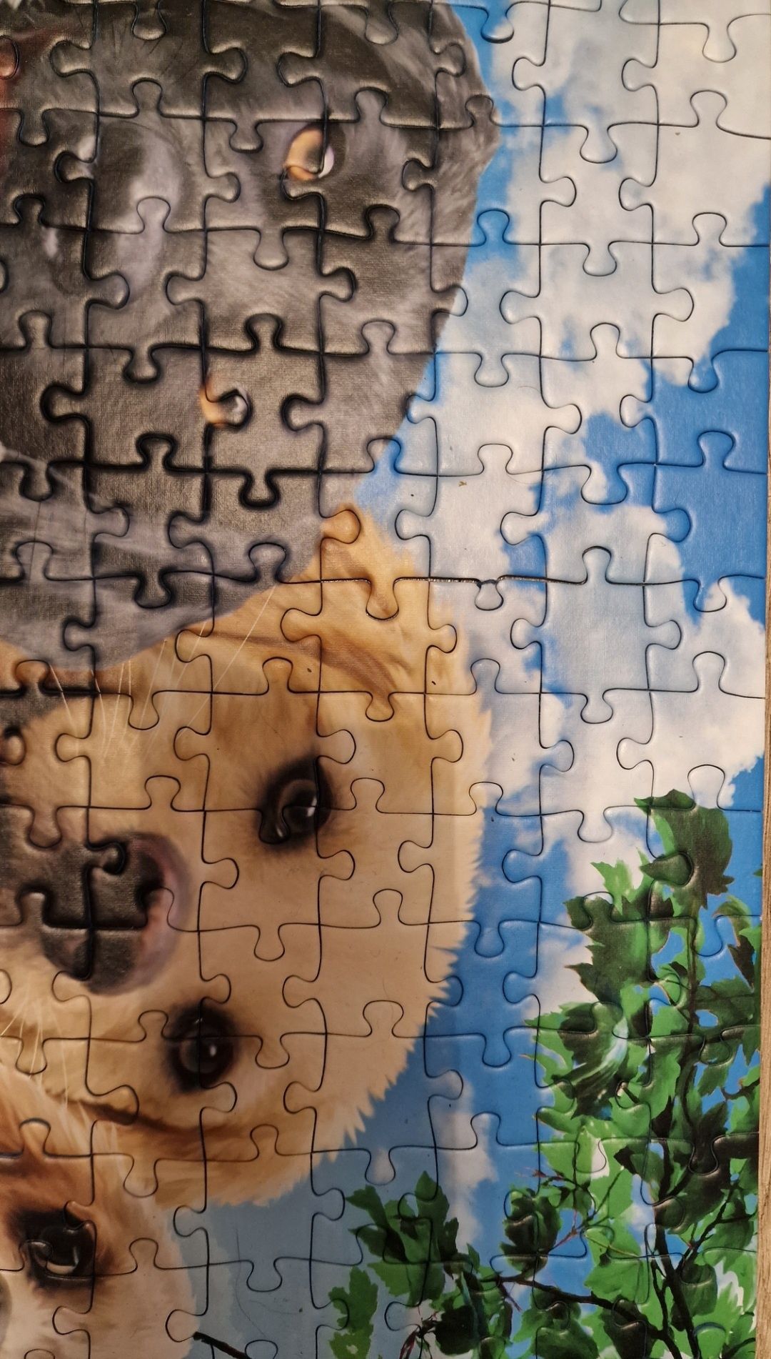puzzle 300 elementów - ravensburger - psy