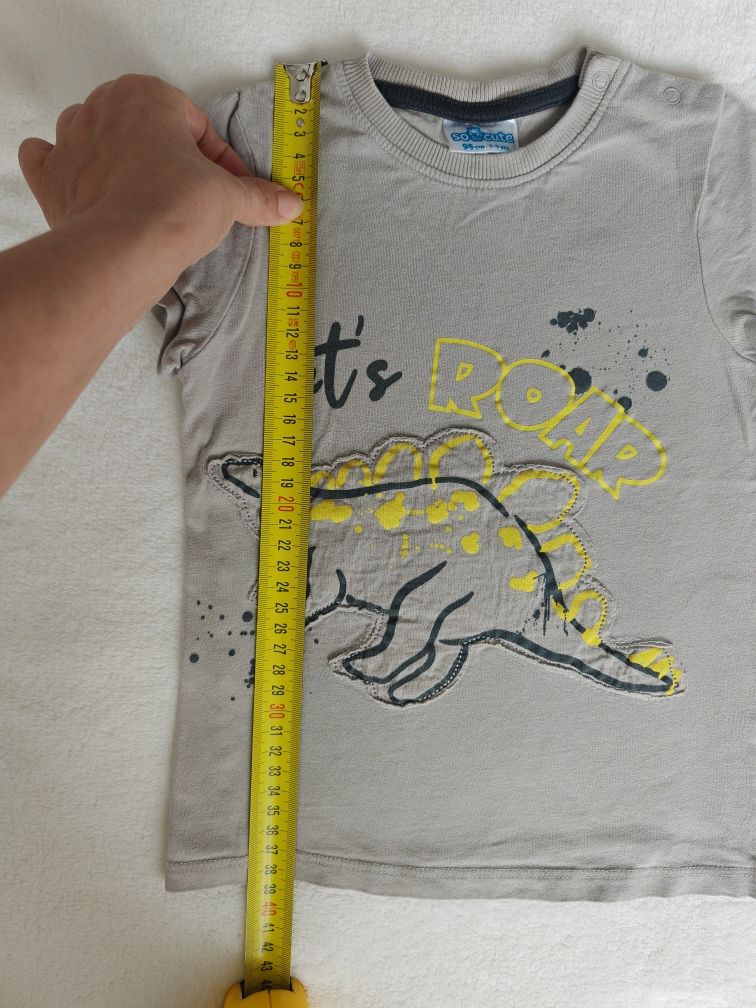 Koszulki t-shirty chłopięce pepco ok. 98