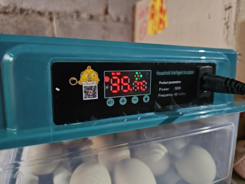 Chocadeiras automáticas novas de varios tamanhos. | Ler descrição.