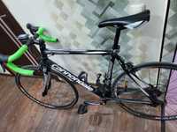 Cannondale Synapse 6