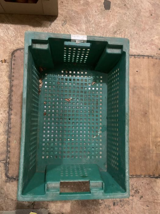 Продам ящики лотки овочеві