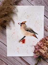 Akwarela Jemiołuszka ptak jarzębina ptaki obraz plakat