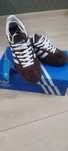 Кросівки (кеди) Adidas Spezial 38 (23,5) розмір