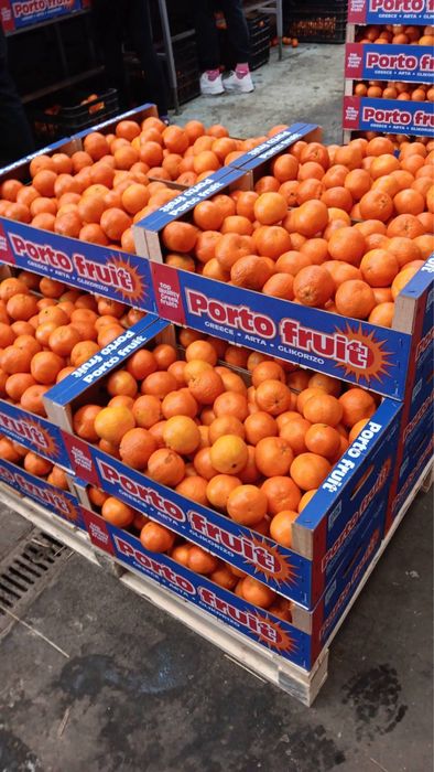 Оптовий продаж мандарин з Греції