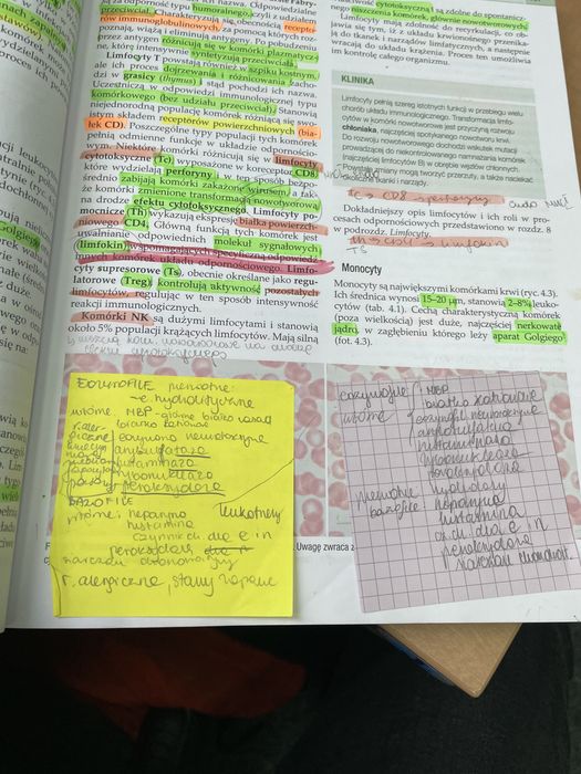 Histologia Maciej Zabel