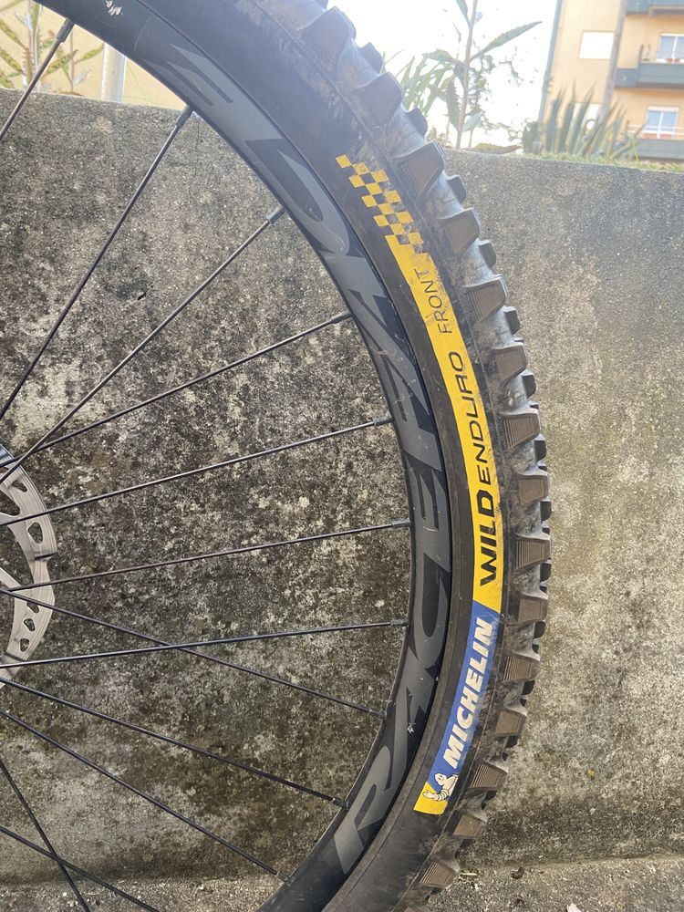 Orbea occam