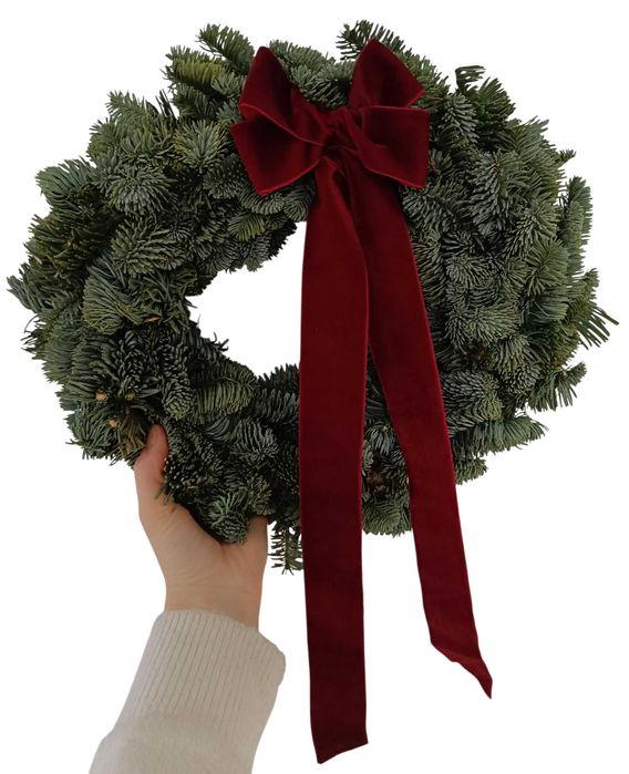 Wianek na drzwi, żywy 35 cm z kokardą, jodła nobilis