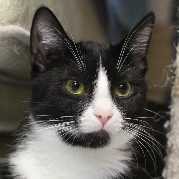 Oluś wypatruje swojego domku