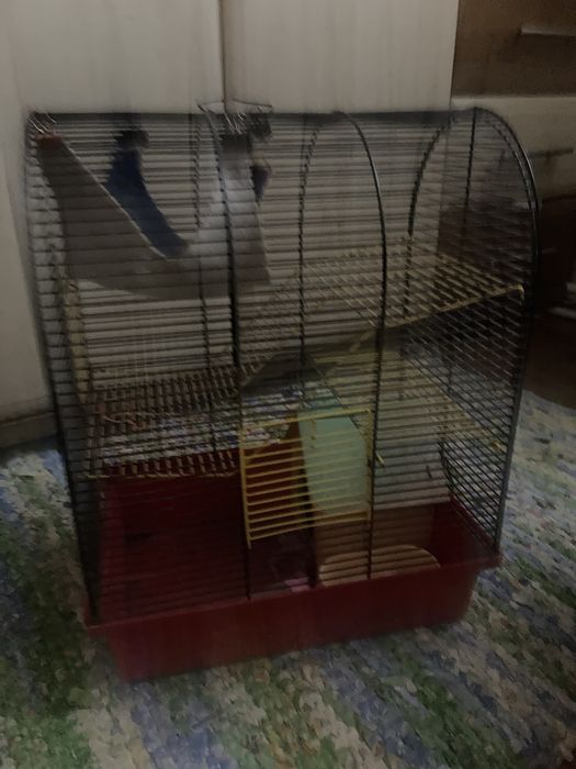 Клітка для маленьких гризунів