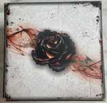 Black Rose Wars PL - gra planszowa