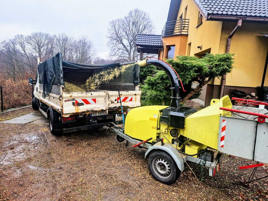 Alpinistyczna wycinka drzew, przycinanie, pielęgnacja drzew, tui