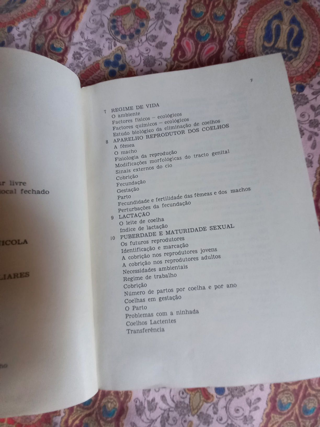 Manual de criação de coelhos