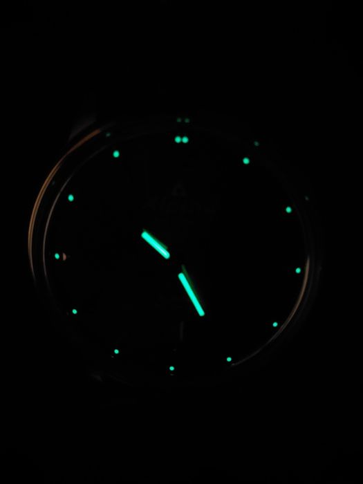 Alpina Alpiner Automatic AL-525VG4E6