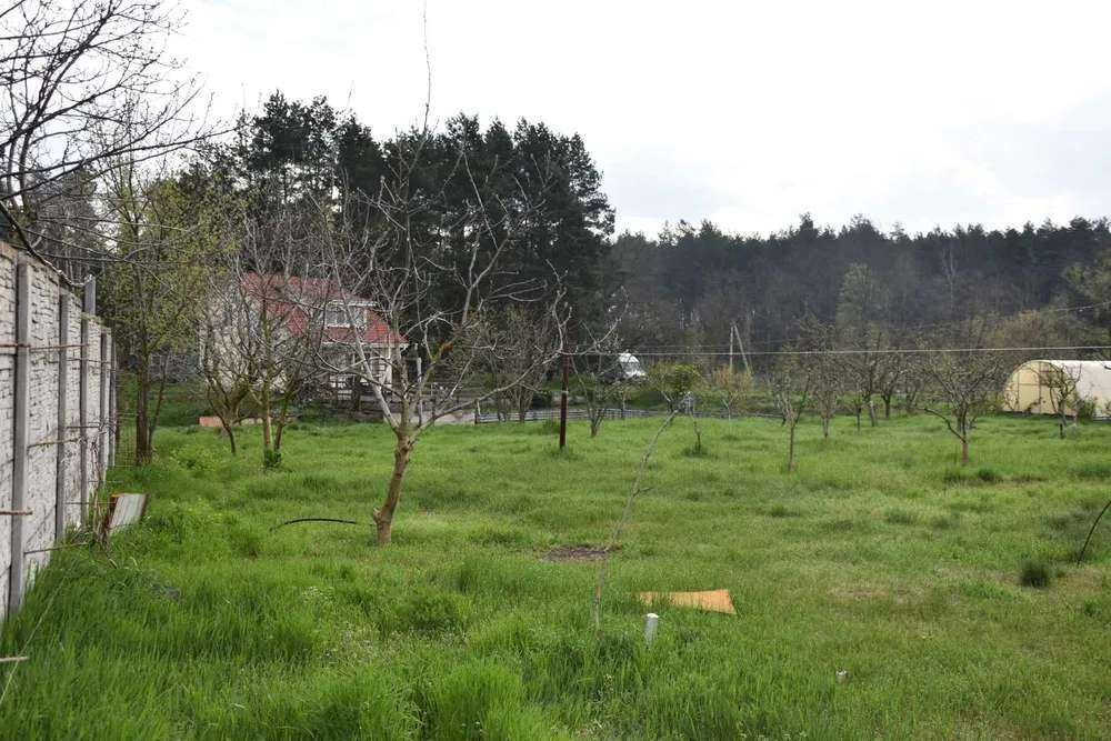 Власне озеро виноградники теплиця сад Бориспольскій р-н Вороньків