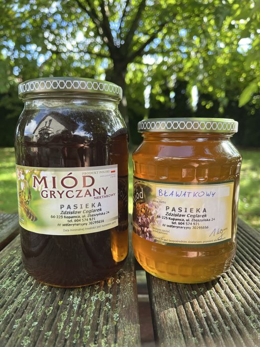 Miód gryczany 1.2kg z pasieki dziadka