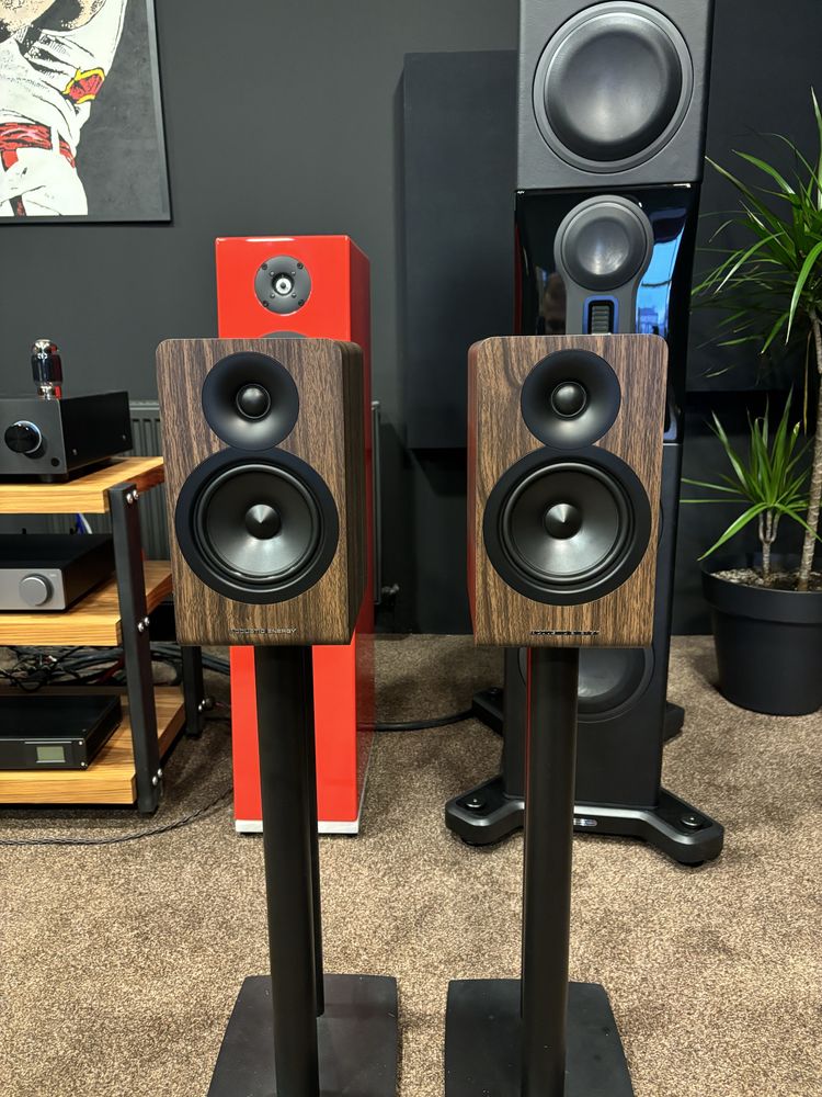 Acoustic Energy AE 100 II - kolumny podstawkowe