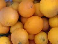 laranjas biológicas