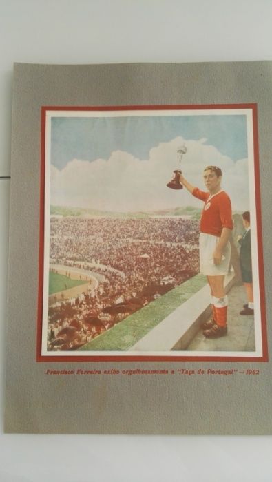 Separata do S.L.Benfica Campeão Nacional e vencedor da Taça 1954/1955