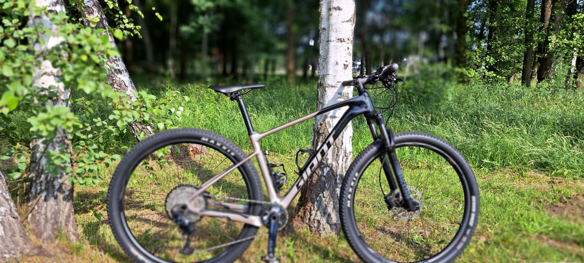 Giant XTC ADVANCED 2 2024 M