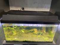 Akwarium 54l zestaw