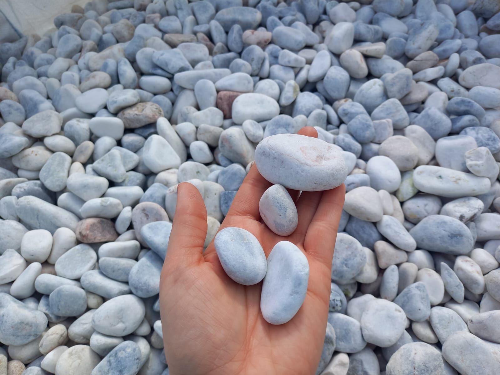 Otoczaki Janowickie białe szare kamień do ogrodu ozdobny 1T z dostawą