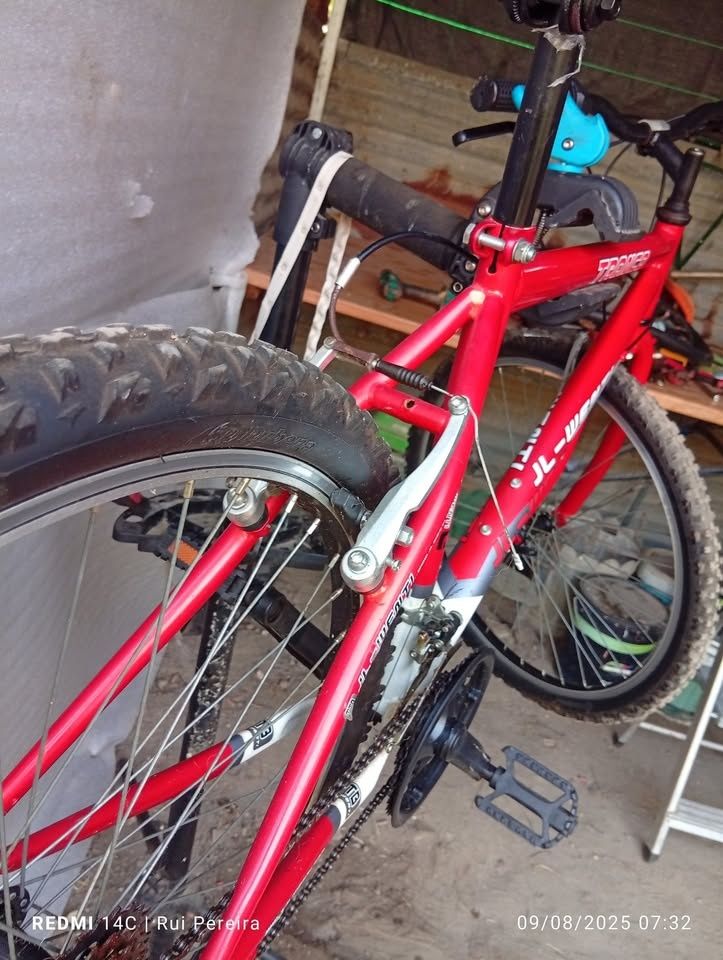 Bicicleta Jl-Wenti Tronco