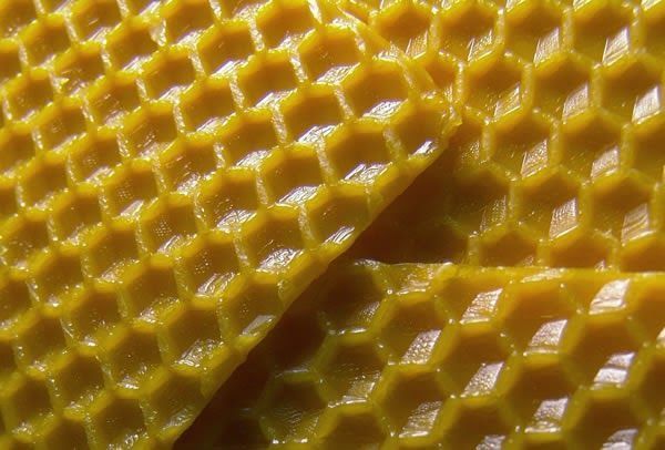 węza pszczela / wosk pszczeli / producent wielkopolska warszawska