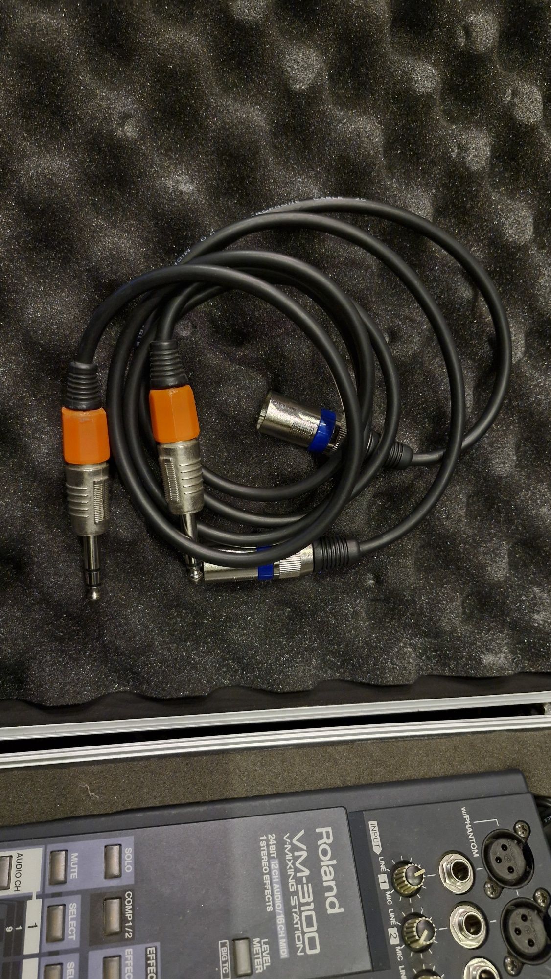 Roland VM-3100 c/ Case