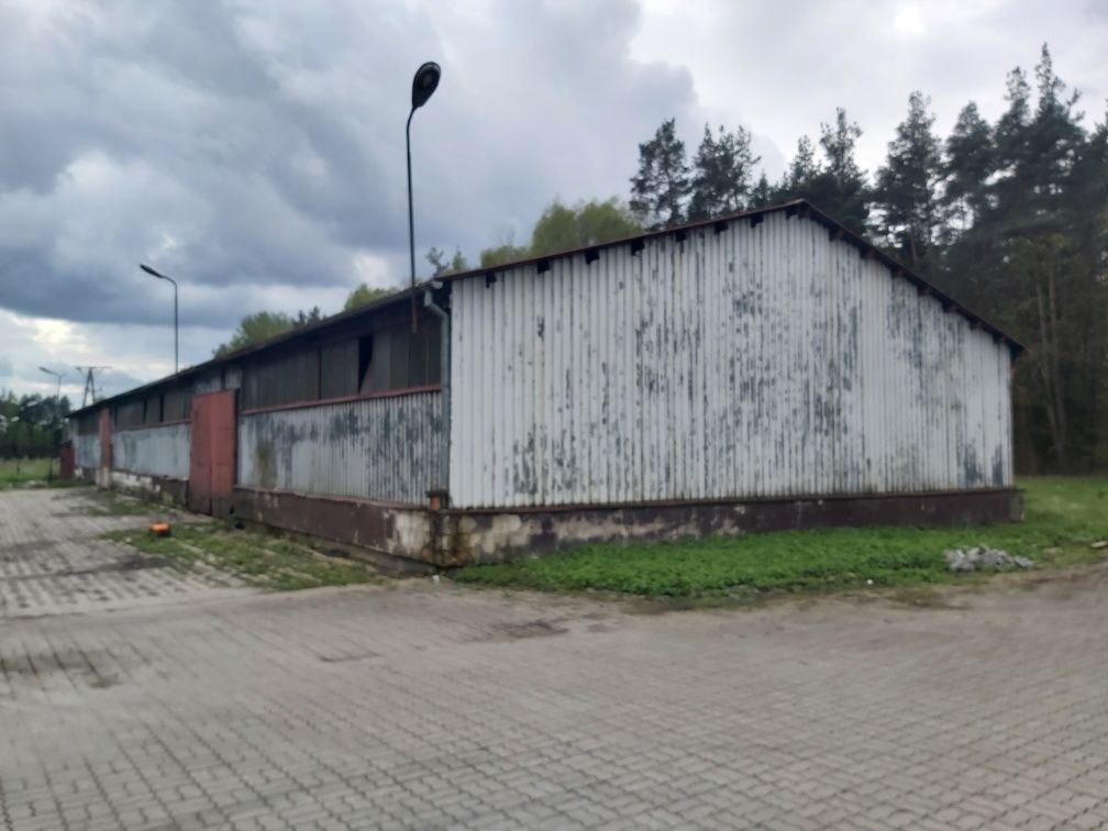 Hala do wynajęcia 350m2