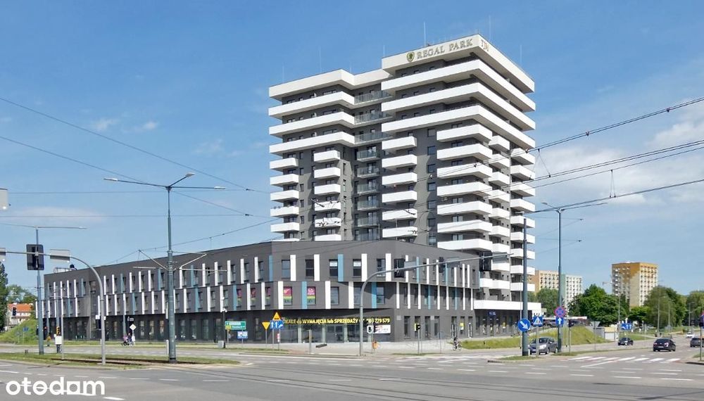 Parter, witryny BEZPOŚREDNIO