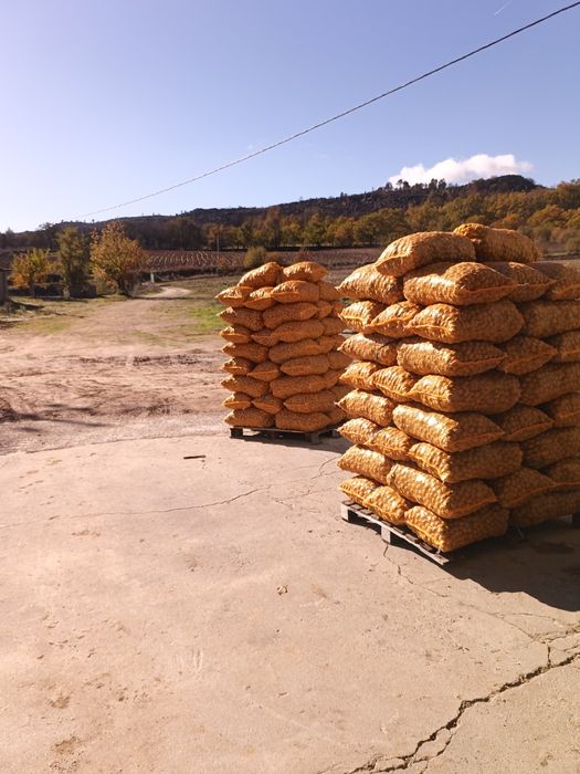 Nozes com sabor original