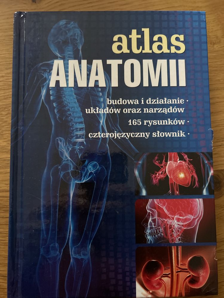 Atlas anatomii SBM