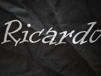 Масажний стіл Ricardo