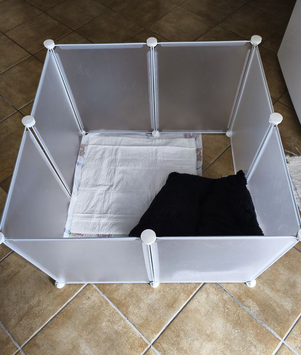 Parque de treino para cachorros