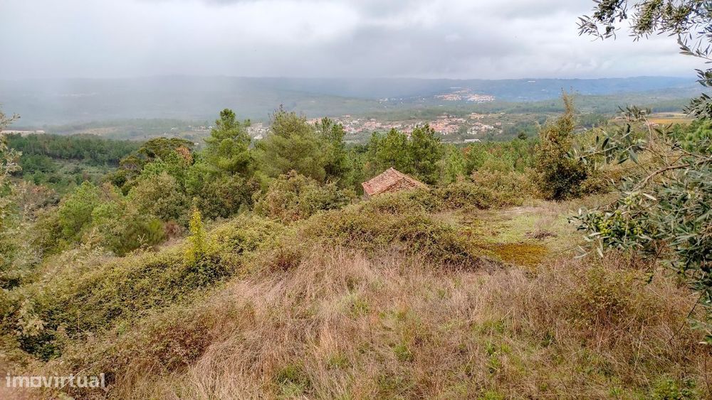 Quinta com vista deslumbrante