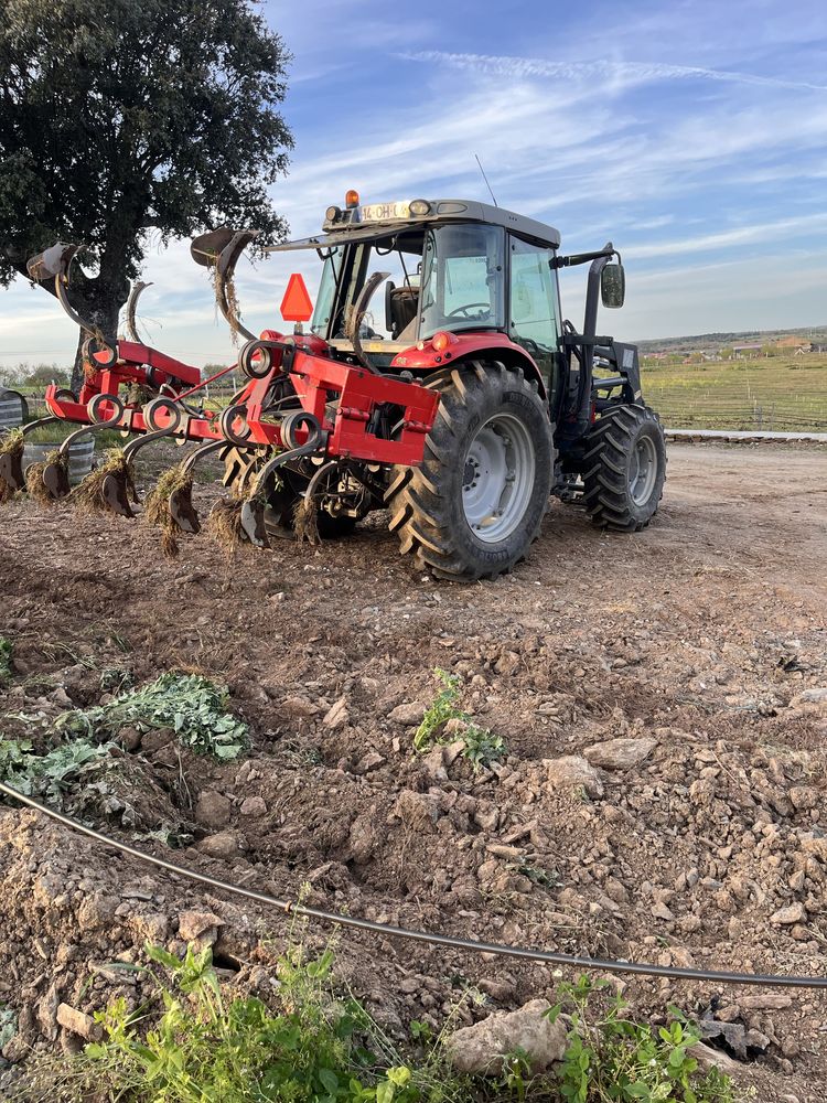 Prestação de servicos agricolas, florestais e jardinagem