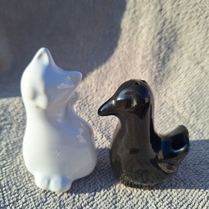 Zestaw solniczka I pieprzniczka w kształcie Kotka I Kaczki